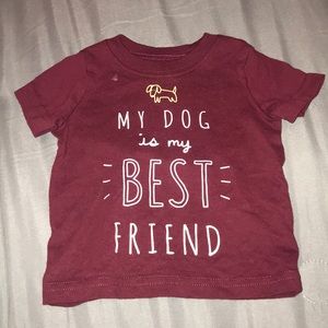 5 dog set for 3m